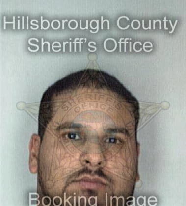 Ariosky Collado - Hillsborough County, FL 