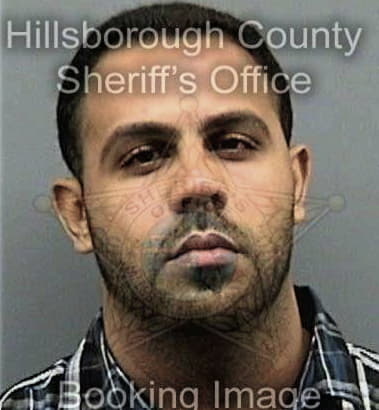 Jean Flores, - Hillsborough County, FL 