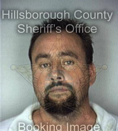 Jesus Jimenezaguillon, - Hillsborough County, FL 