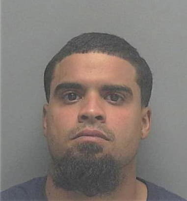 Daniel Lallave-Cruz, - Lee County, FL 