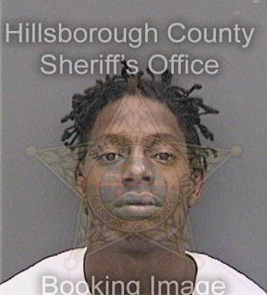 Shawn Lowman, - Hillsborough County, FL 