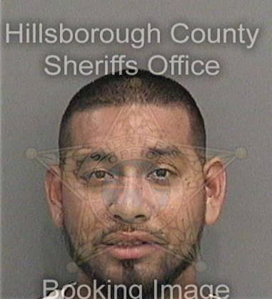 Efrain Martinezramos, - Hillsborough County, FL 