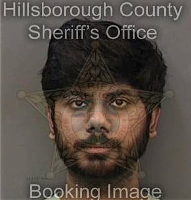 Bhushan Mehendale - Hillsborough County, FL 