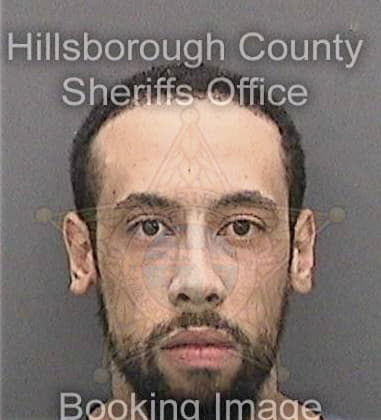 Michael Saranko, - Hillsborough County, FL 