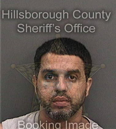 Michael Summers, - Hillsborough County, FL 