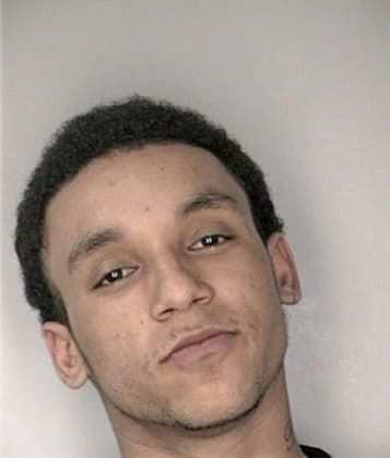 Brian Williams - Hillsborough County, FL 