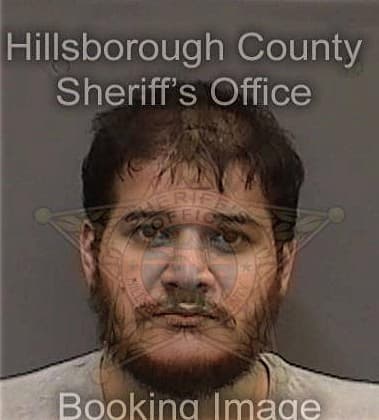 Hamad Alshammri, - Hillsborough County, FL 