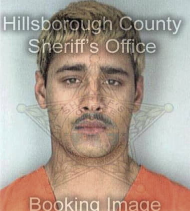 Kenneth Berryhill - Hillsborough County, FL 