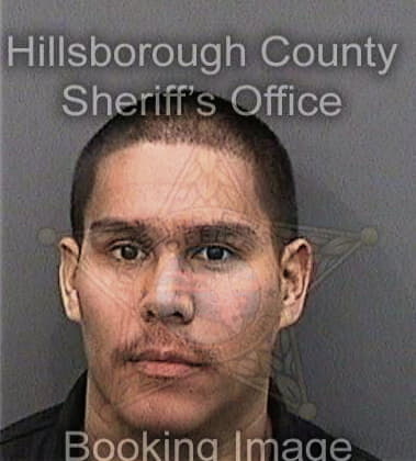 Raymond Goforth, - Hillsborough County, FL 