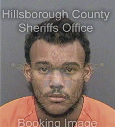 Leondias Haggins, - Hillsborough County, FL 