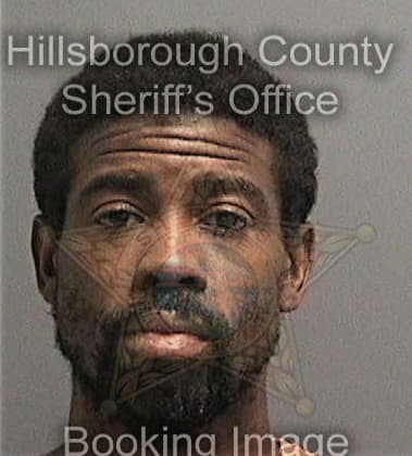 Davy Hodges, - Hillsborough County, FL 