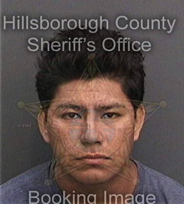 Timothy Kelsey, - Hillsborough County, FL 