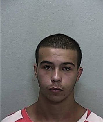 Vincent Loosmore, - Marion County, FL 