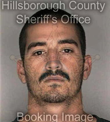 Davin McAteer - Hillsborough County, FL 