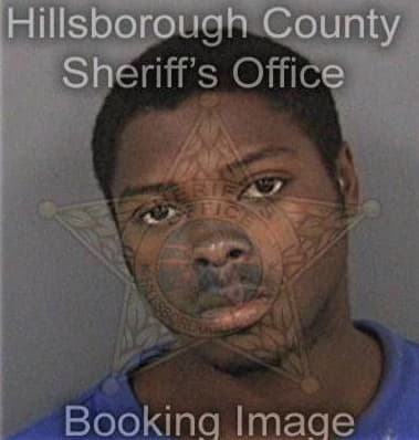Omar Micoltagiron - Hillsborough County, FL 