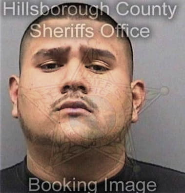 Rocky Milene - Hillsborough County, FL 
