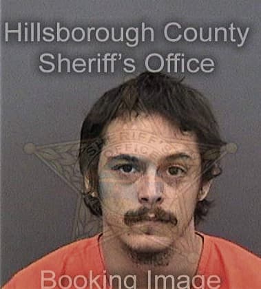 David Pongracz, - Hillsborough County, FL 