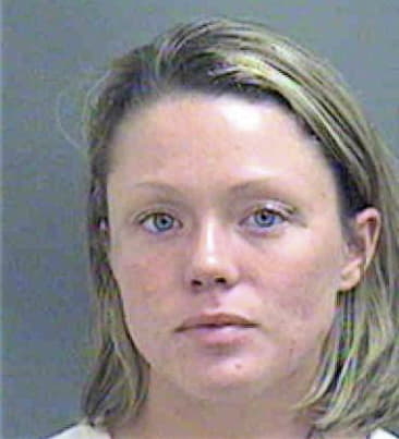 Lisa Bass - Mecklenburg County, NC 