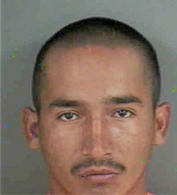 Demetrio Delgado, - Collier County, FL 