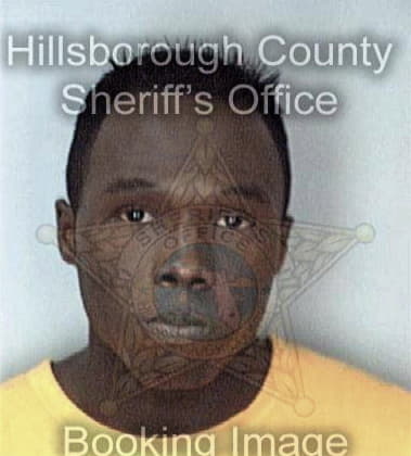 Shawn Henry - Hillsborough County, FL 