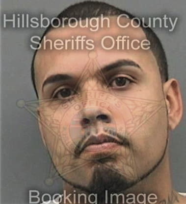 Hector Lunaburgos, - Hillsborough County, FL 