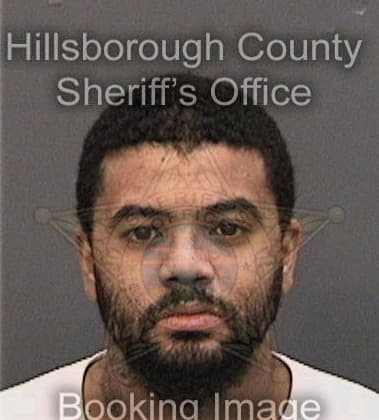 Lawrence Mathis - Hillsborough County, FL 