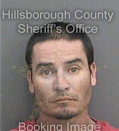 Jesus Perezgarcia, - Hillsborough County, FL 