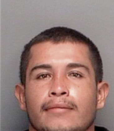 Conrado Reginaldo, - Pinellas County, FL 