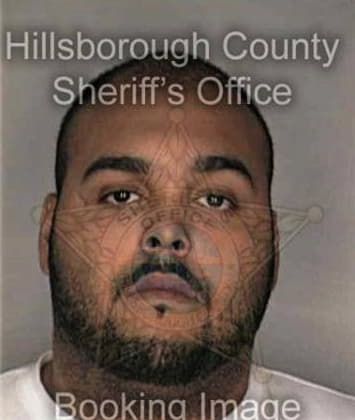 Pedro Reyes, - Hillsborough County, FL 