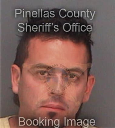 David Stamant - Pinellas County, FL 