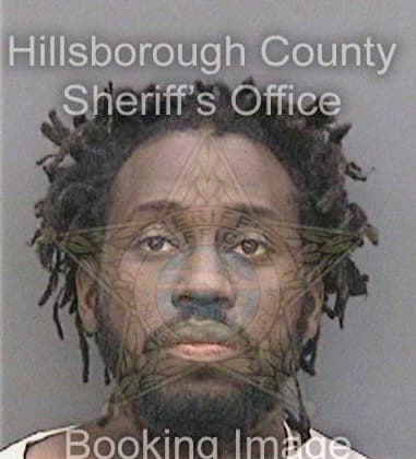 Aaron White - Hillsborough County, FL 