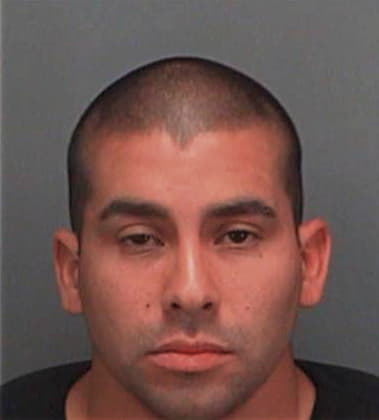 Gustavo Alonso, - Pinellas County, FL 