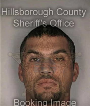 Yimmy Araujoestrada, - Hillsborough County, FL 