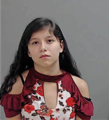 Edna Castillo, - Hidalgo County, TX 