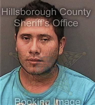 Douglas McCauley - Hillsborough County, FL 