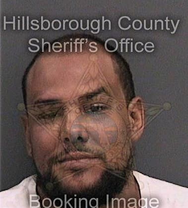 Omar Montesino, - Hillsborough County, FL 