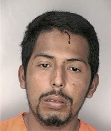 Juan Munozvega, - Hillsborough County, FL 