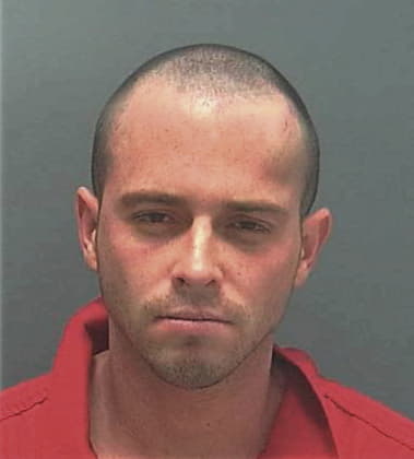 Michael Siegfried, - Lee County, FL 