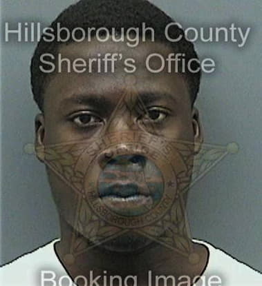 Earl Simmons, - Hillsborough County, FL 