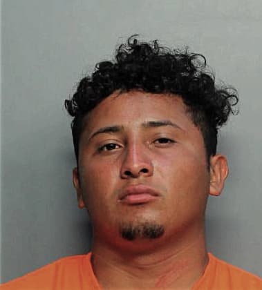 Maikel Alvarezromero, - Dade County, FL 