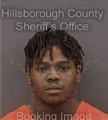 Delique Archibald, - Hillsborough County, FL 