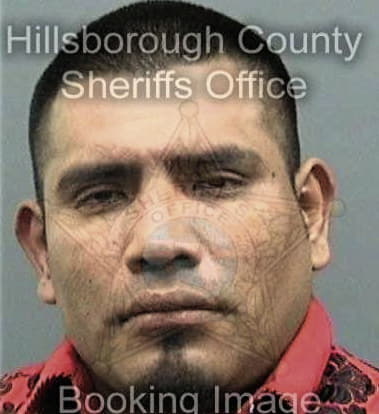 Justin Parrish, - Hillsborough County, FL 