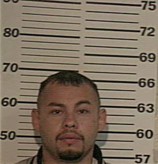 Sergio Perez, - Hidalgo County, TX 