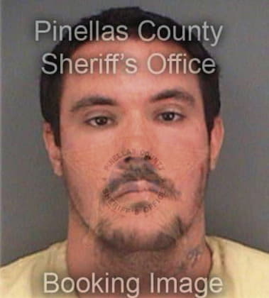 William Schatz, - Pinellas County, FL 