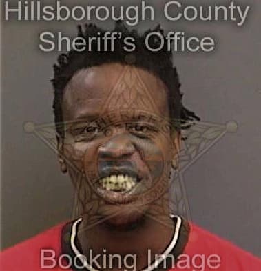 Tyrone Washington, - Hillsborough County, FL 