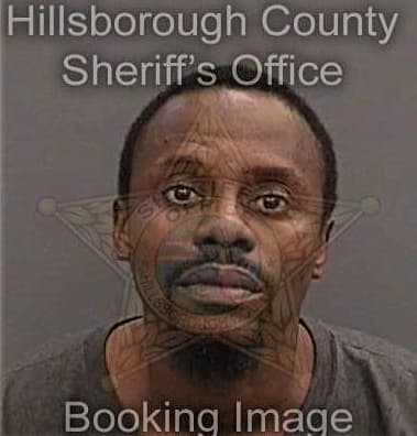 Telvin Wright, - Hillsborough County, FL 