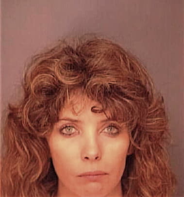 Connie Bosch - Polk County, FL 