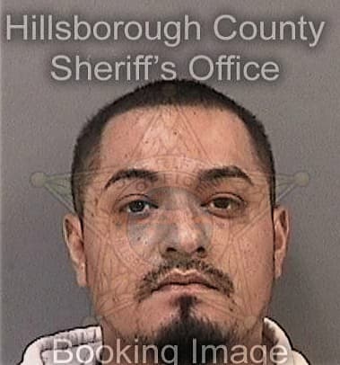 Anthony Carroll, - Hillsborough County, FL 