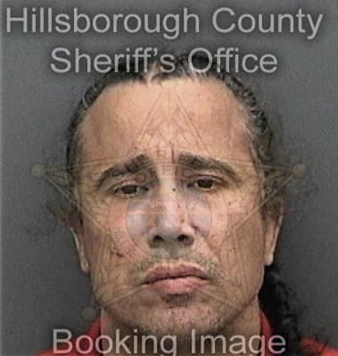 Daryl Comolli, - Hillsborough County, FL 