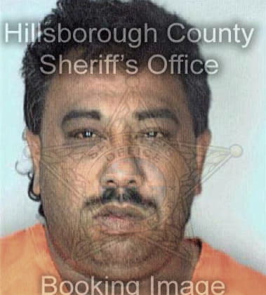 Rene Coronacornejo - Hillsborough County, FL 